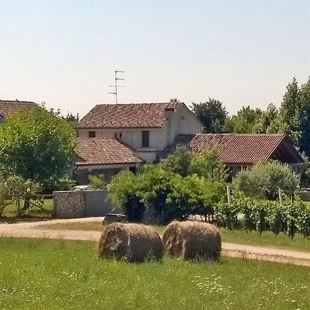 Il Giuggiolo Bed & Breakfast Conegliano Eksteriør bilde