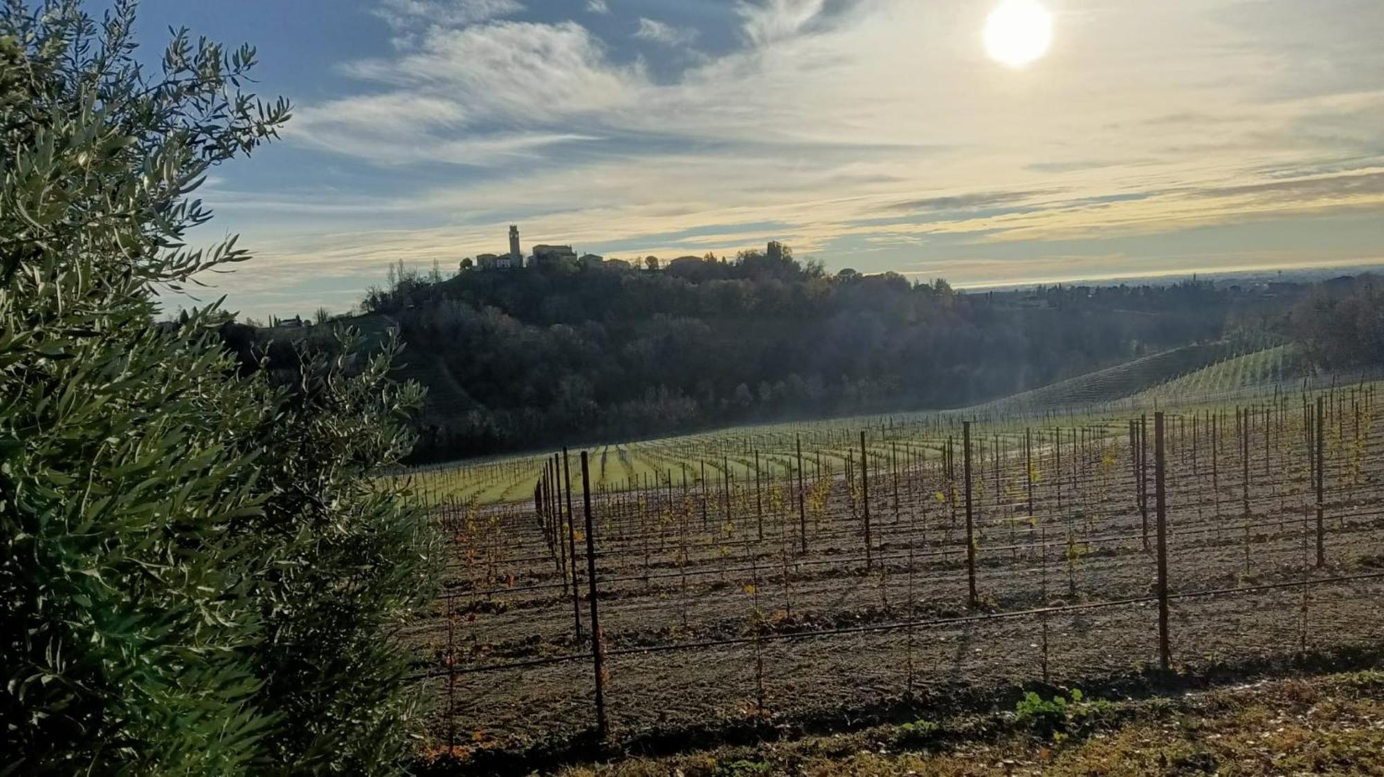 Il Giuggiolo Bed & Breakfast Conegliano Eksteriør bilde