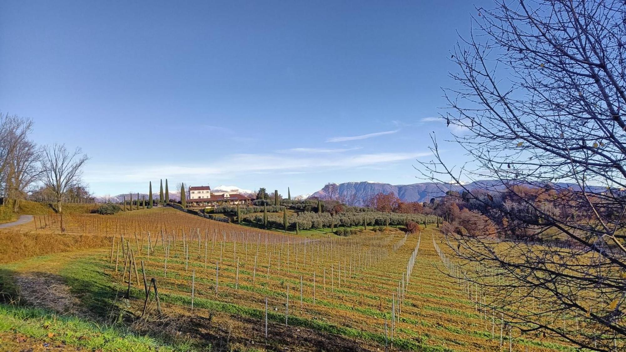 Il Giuggiolo Bed & Breakfast Conegliano Eksteriør bilde