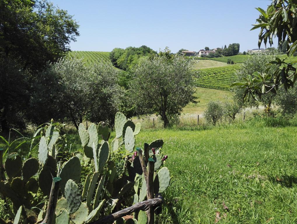 Il Giuggiolo Bed & Breakfast Conegliano Eksteriør bilde